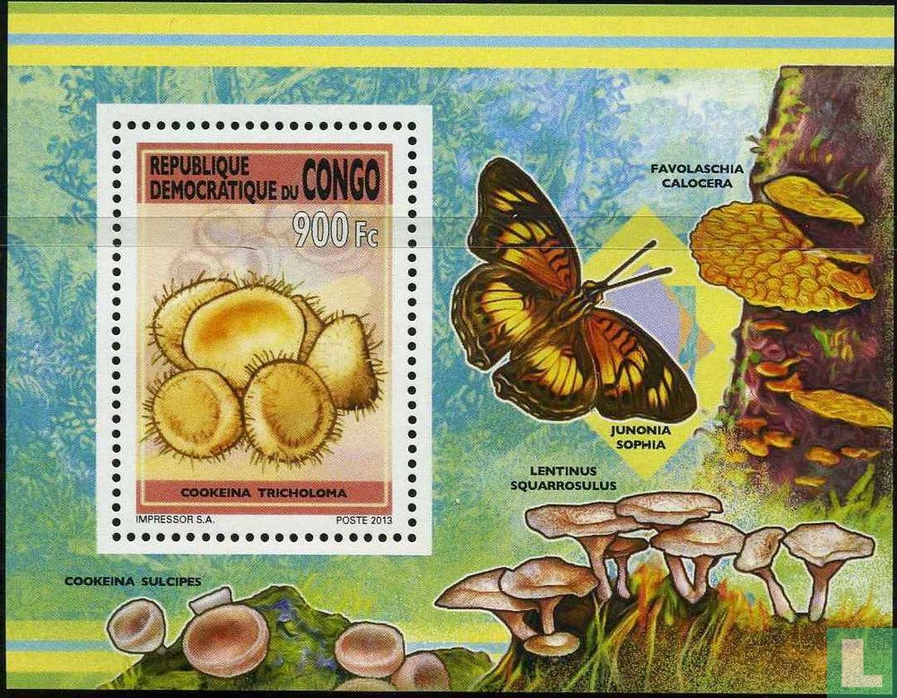 Champignons