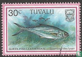 Vissen