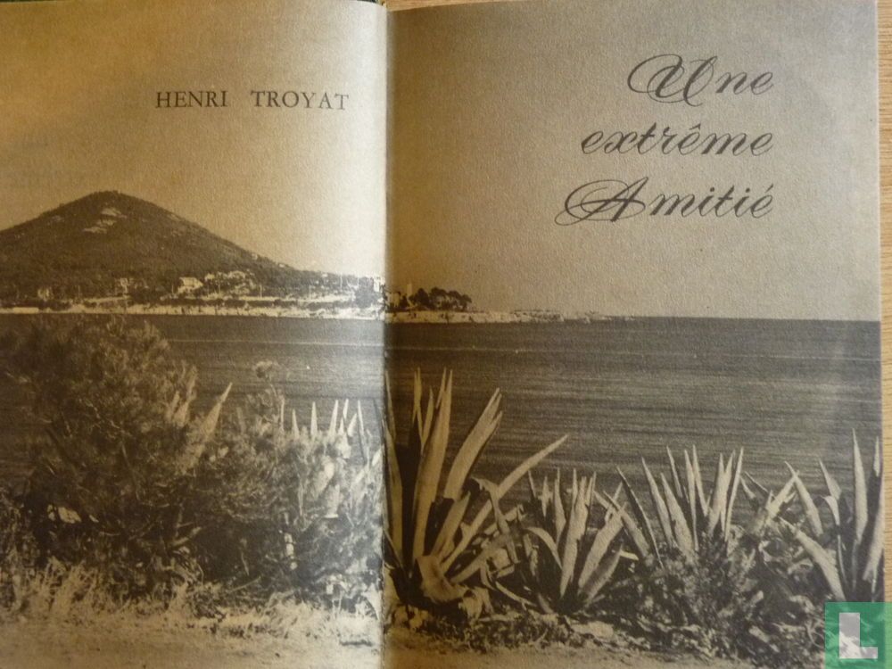 Une extrême amitié