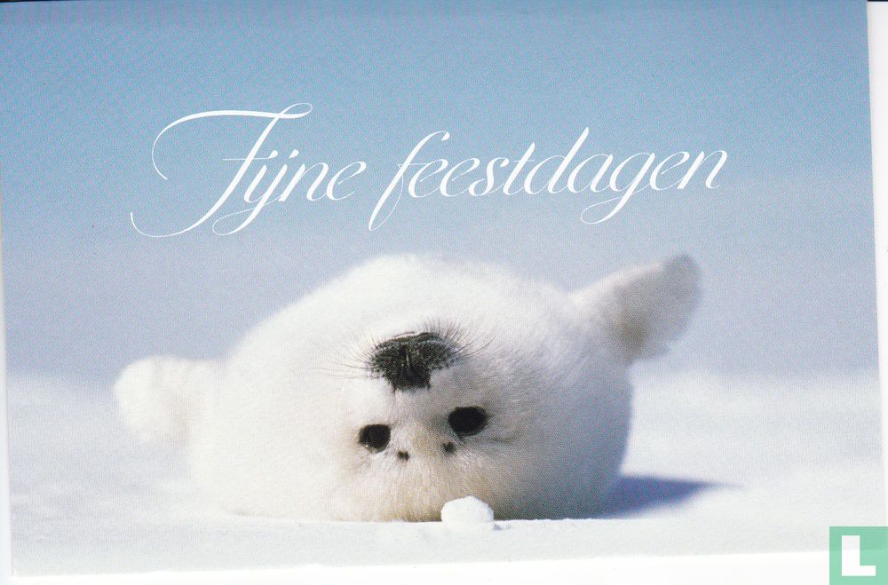 Dieren: Zeehond