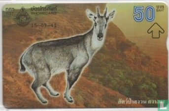 Protected Wildlife