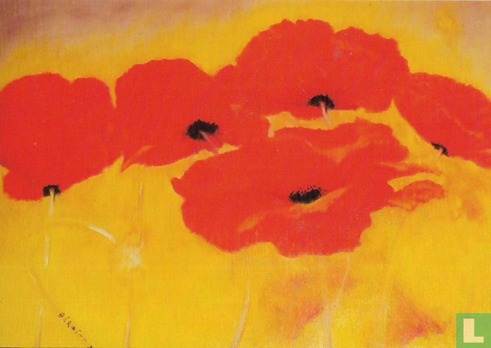 B02148 - Mohnblüten