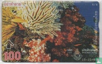 Coral
