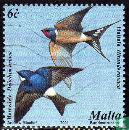 Oiseaux