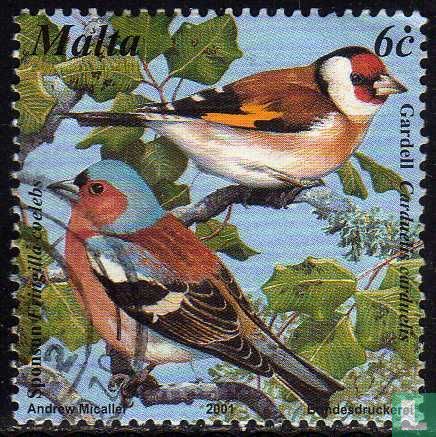 Oiseaux