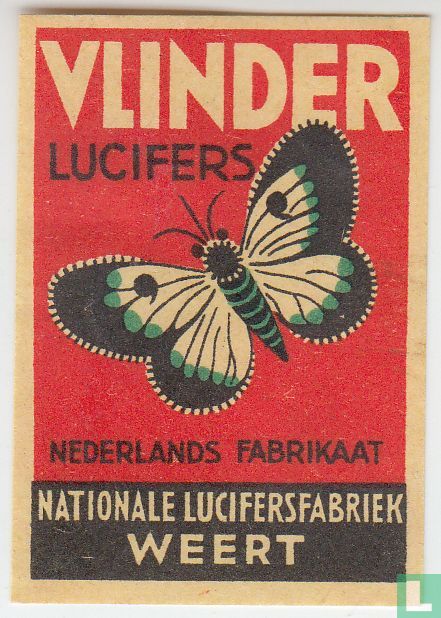 Vlinder lucifers