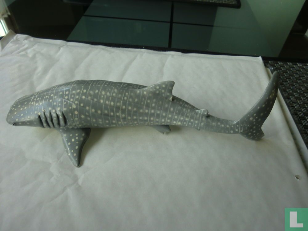 Whale Shark
