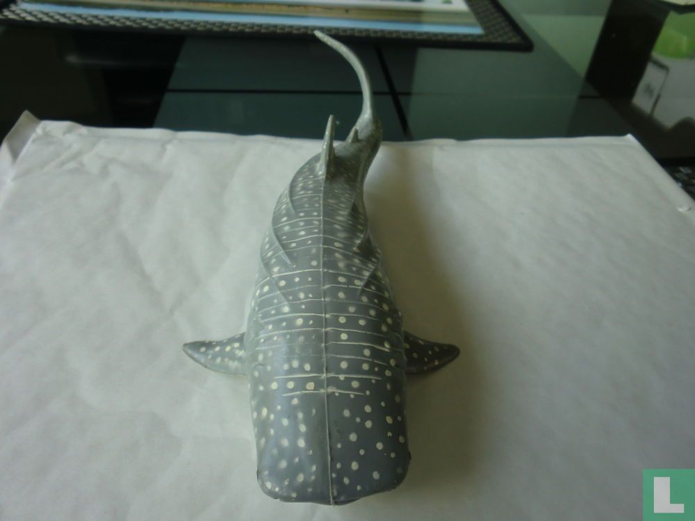 Whale Shark