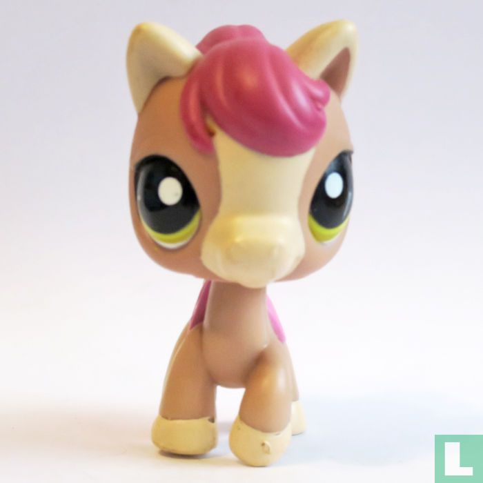 Pony