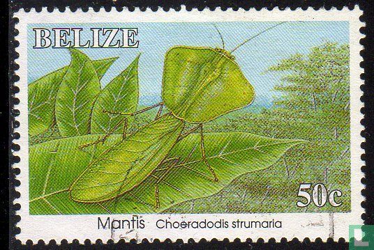 Mantis