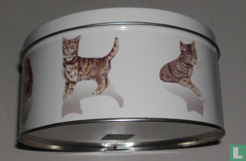 Katten