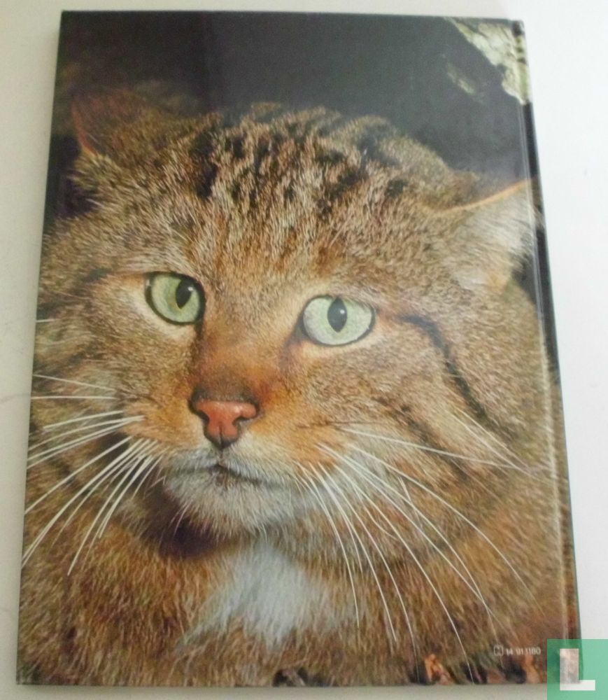 Katten