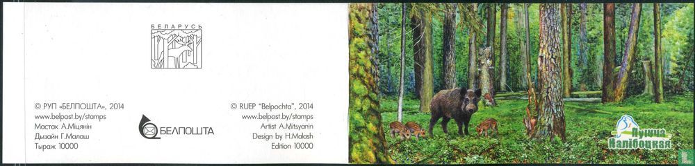 Animaux de la forêt Naliboki Pushcha