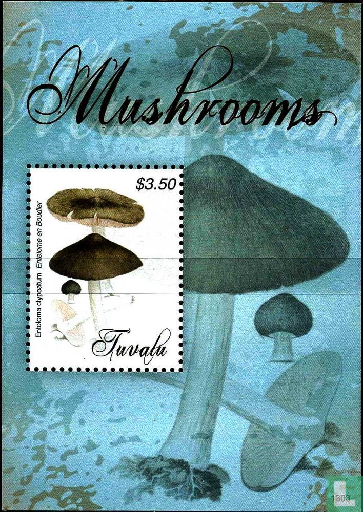 Champignons