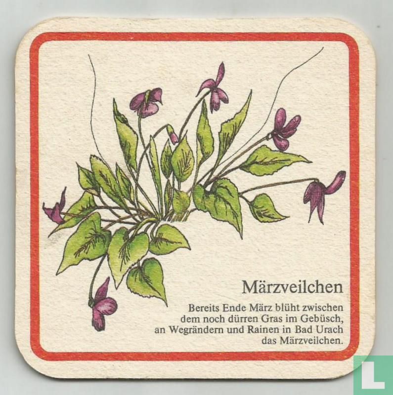 Märzveilchen