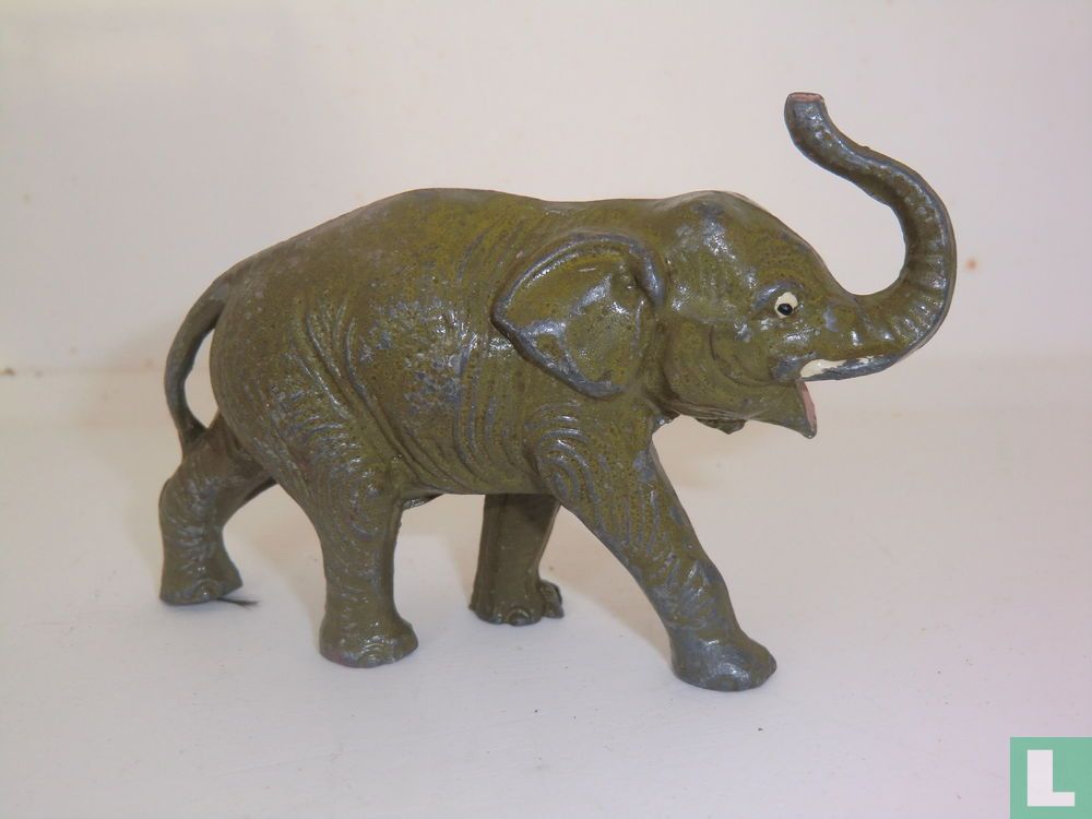 African Elephant