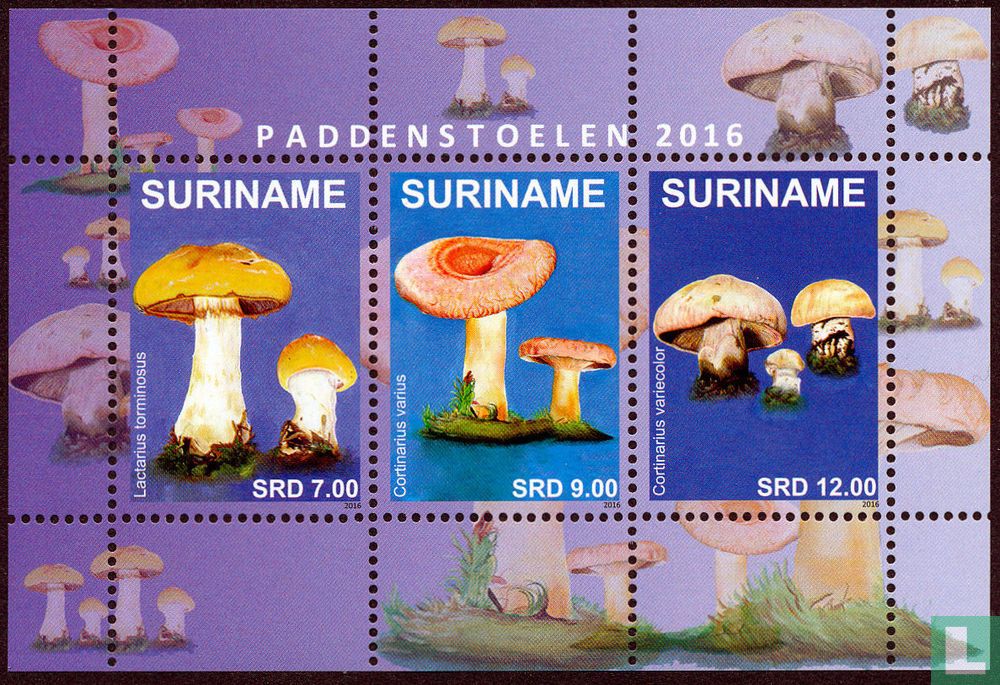 Champignons