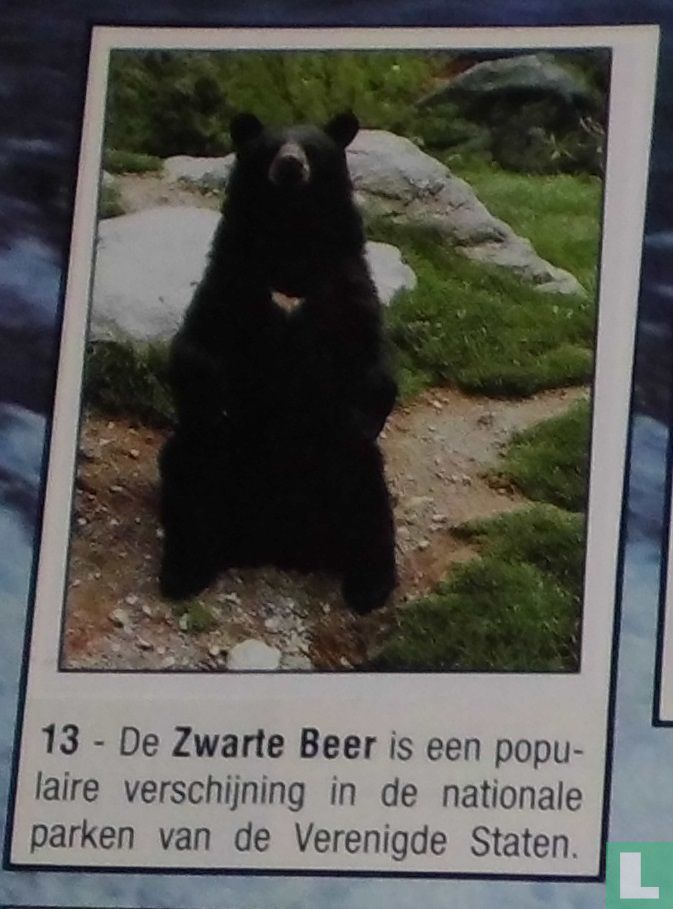 Zwarte Beer