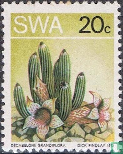 Wüste Flora