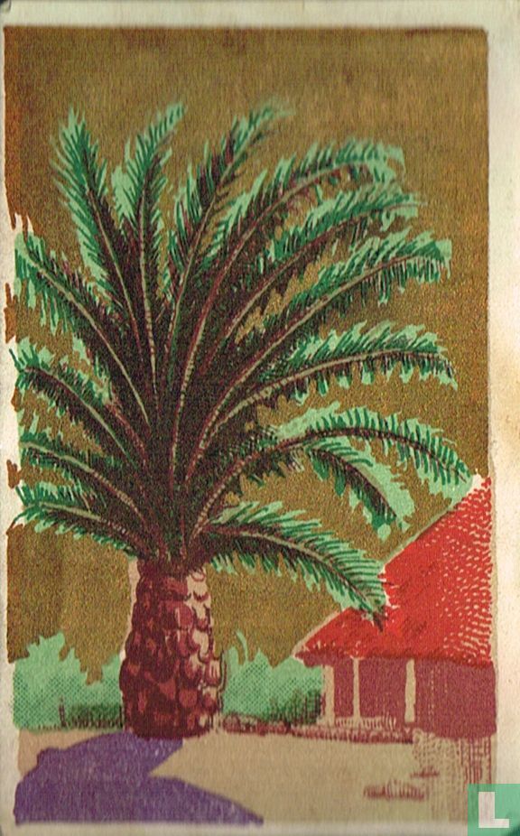 Borassus