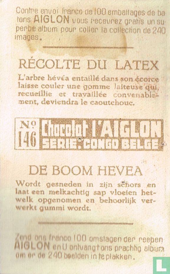 De boom hevea