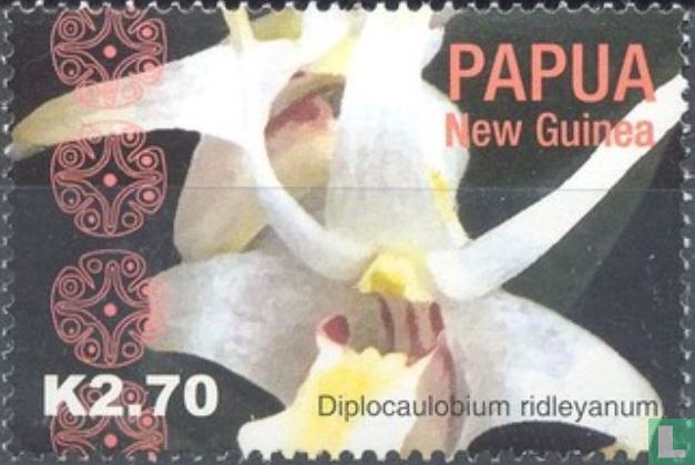 Orchideen