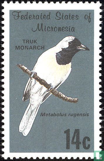 Birds  