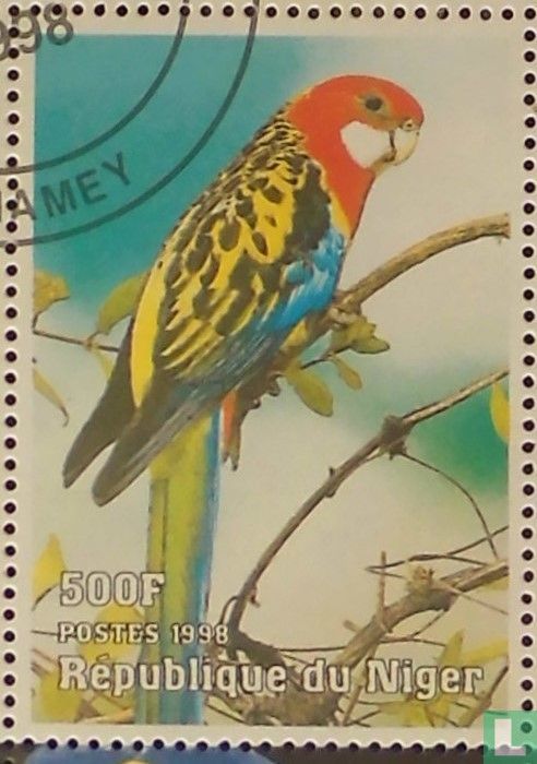 Parrots