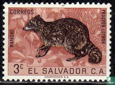 Native animals
