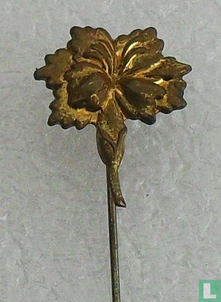 Bloem