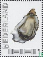 Waddeneilanden