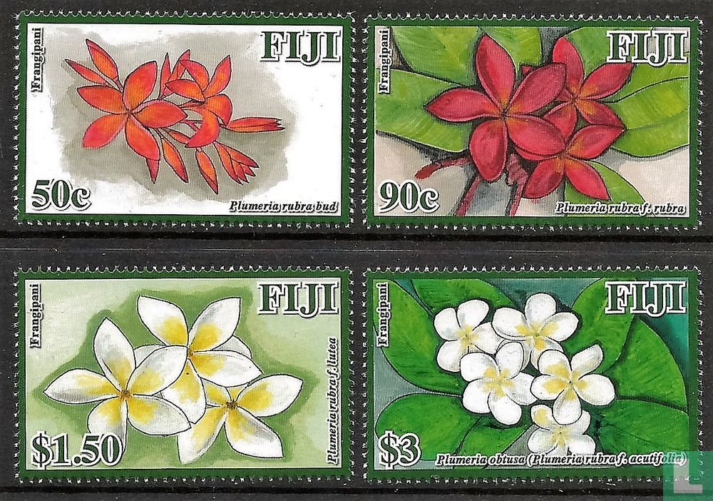 frangipanier