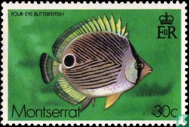 Vis 