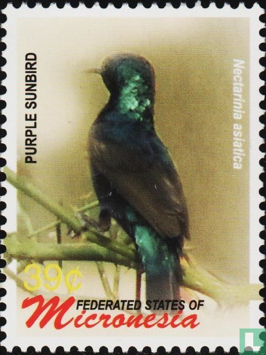 Birds