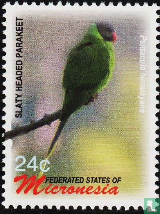 Birds