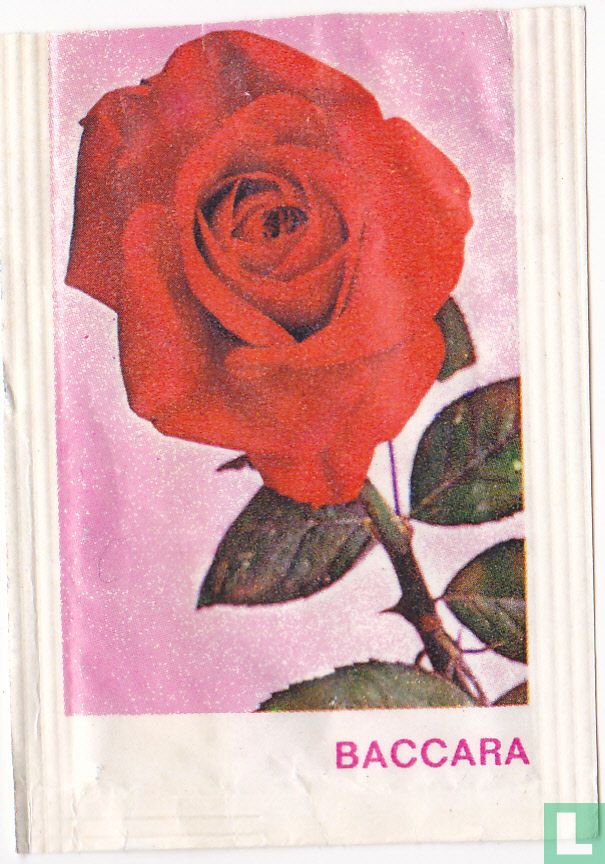 Baccara 