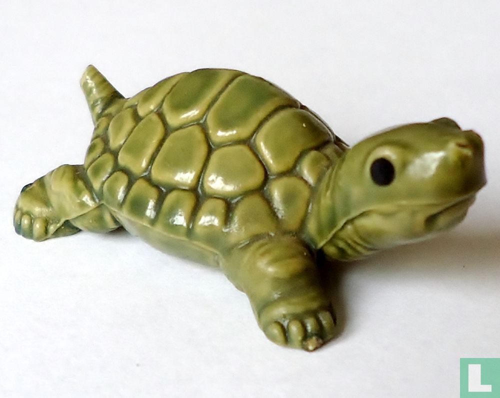Tortoise