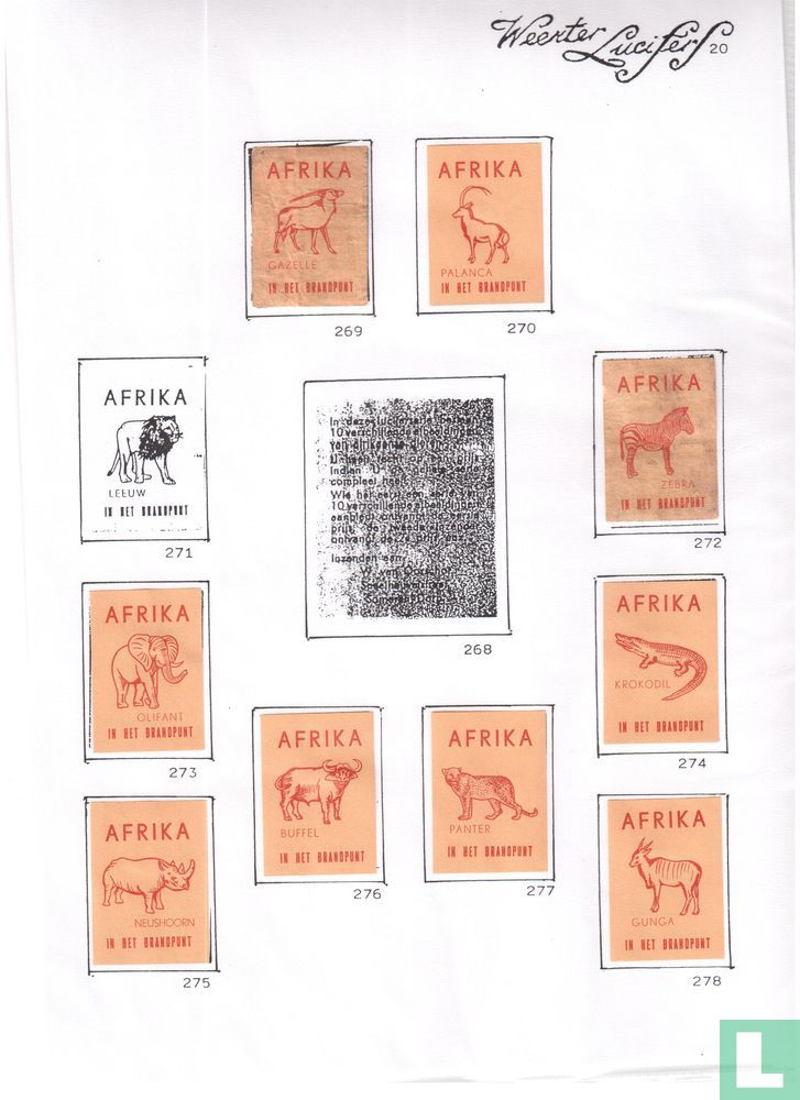 Afrika in het brandpunt