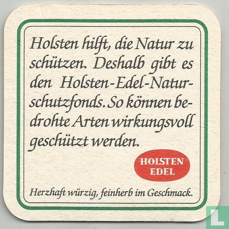 Eisvogel