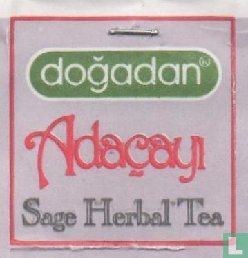 Adaçayi