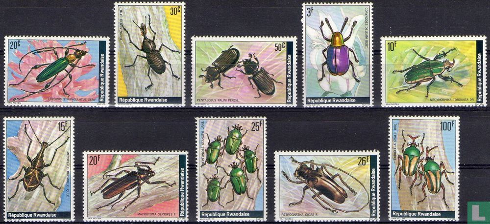 Insects