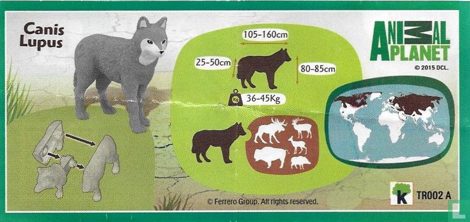 Canis Lupus