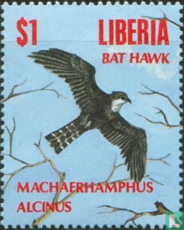 Oiseaux indigènes