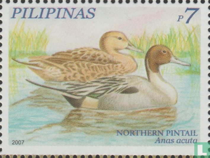 Canards
