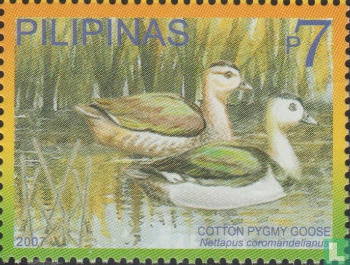 Canards