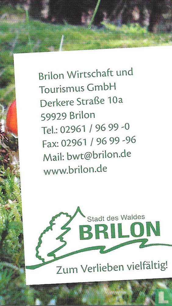 Brilon - Stadt des Waldes