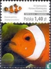 Poissons corail