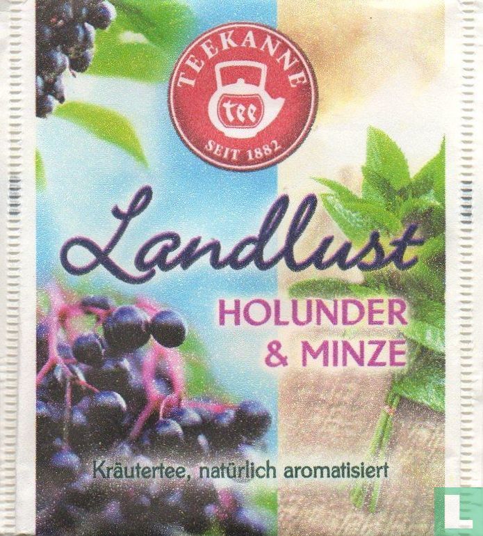 Holunder & Minze