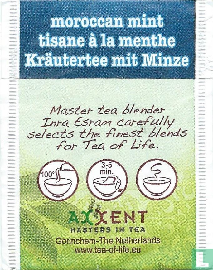 moroccan mint 
