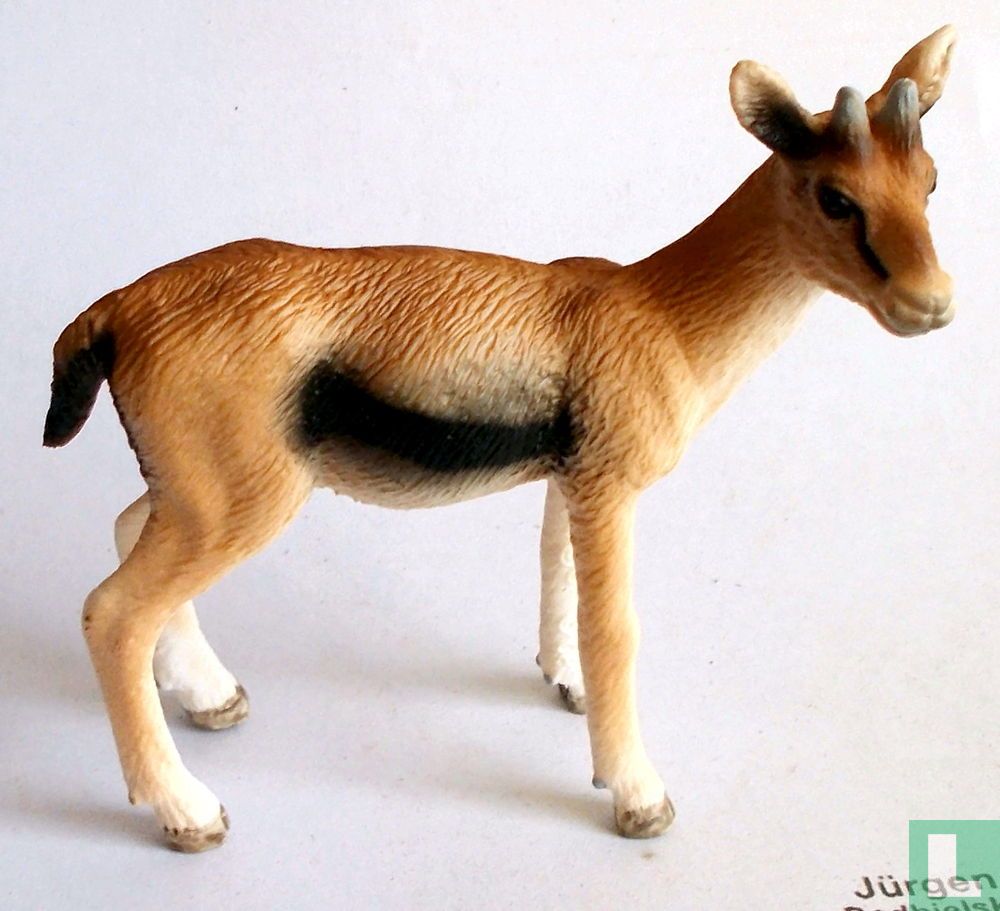 Gazelle